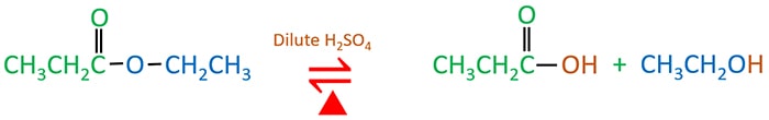 Ethyl propanoate acidic hydrolysis
